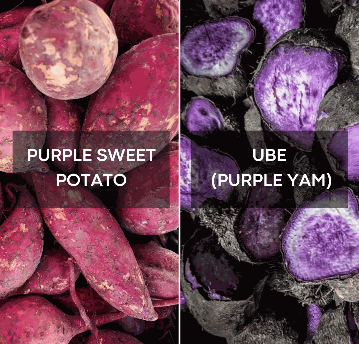 Ube vs Purple Sweet Potato