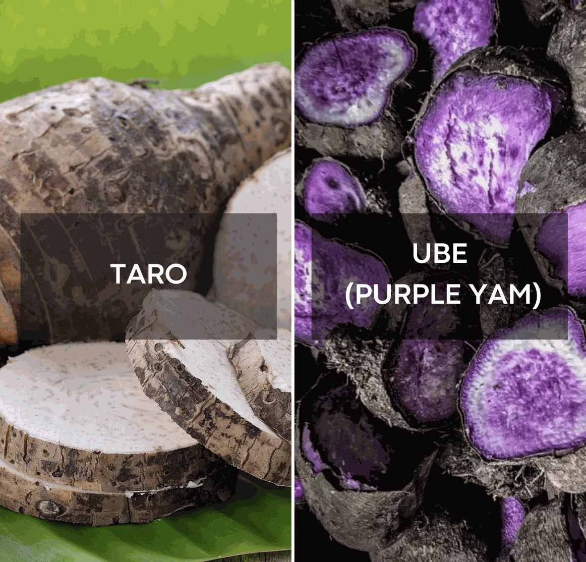 Ube vs Taro: What's the Real Difference?